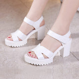 Fligmm Sandals For Women In Summer 2024, The New Style Full-Heeled Thick-Soled Waterproof Platform, Velcro Large-Size Cheongsam Walking Sandals