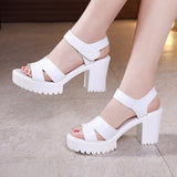 Fligmm Sandals For Women In Summer 2024, The New Style Full-Heeled Thick-Soled Waterproof Platform, Velcro Large-Size Cheongsam Walking Sandals