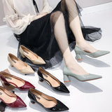 Fligmm High Heels, Single Shoes, Korean Version Women's Shoes, Nude Pointed Heels, Thick Heels, Spring And Autumn Shoes, Lacquered Leather Work Shoes.