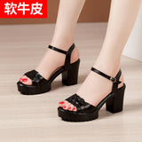 Fligmm With High-Heeled Sandals 2024 Summer New Thick-Soled Waterproof Platform Large-Size Fashion Open-Toe Sandals