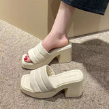 Fligmm Thick-Soled Sandals Slippers Women Wear 2024 Summer New Fashion Minority Women's Shoes Design Feel Beach Word Flip-Flops