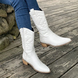 Fligmm Ladies Cowboy Boots Winter Female Shoes Women's Pionted Toe Long Boots New Chunky Heel Mid Calf Riding Boots for Women