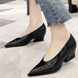 Fligmm for Women 2024 Fashion Autumn Slip on Women's Pumps Solid Color Pointed Toe Shallow Mouth Chunky Heel Elegant High Heels