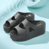 Fligmm Slippers Female Summer Home with Korean Version of Fashion All High Heels Sandals Wedge Increase