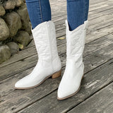 Fligmm Ladies Cowboy Boots Winter Female Shoes Women's Pionted Toe Long Boots New Chunky Heel Mid Calf Riding Boots for Women