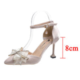 Fligmm Sexy Thin Heels Ankle Strap Pumps Women Lace Bowknot Wedding Party Shoes Woman Elegant Pointed Toe Silk High Heels Shoes