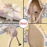 Fligmm Sexy Thin Heels Ankle Strap Pumps Women Lace Bowknot Wedding Party Shoes Woman Elegant Pointed Toe Silk High Heels Shoes