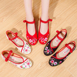 Fligmm New spring and autumn summer casual women's flat shoes casual embroidery ladies shoes