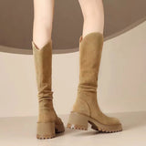 Fligmm Suede Brown Knee High Western Boots Women 2023 Autumn Chunky Heels Platform Long Boots Woman Pleated Outdoor Botas De Mujer